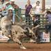 A man hangs on tight to his bucking bull during the 2015 Klickitat County Fair Rodeo.
