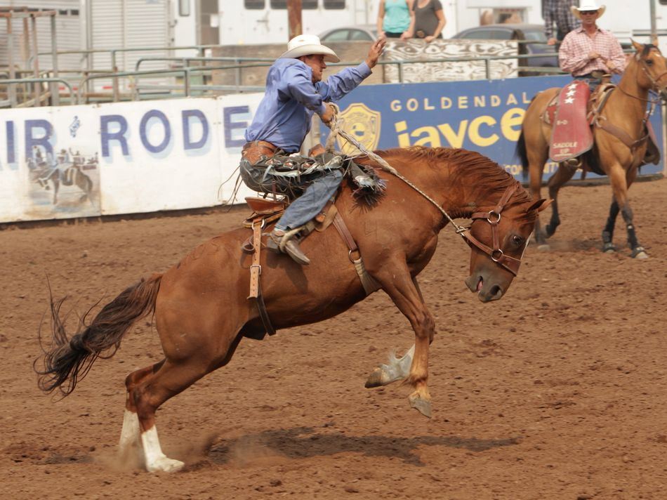A man rides a bucking horse during the 2015 Klickitat County Fair Rodeo.