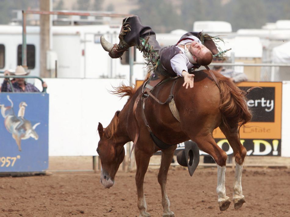 A man is flung backward while riding a bucking horse during the 2015 Klickitat County Fair Rodeo.