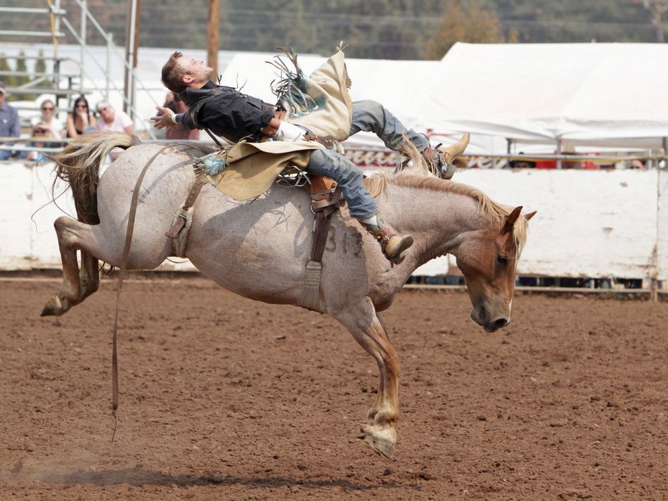 A man rides a bucking horse at the 2015 Klickitat County Fair Rodeo.