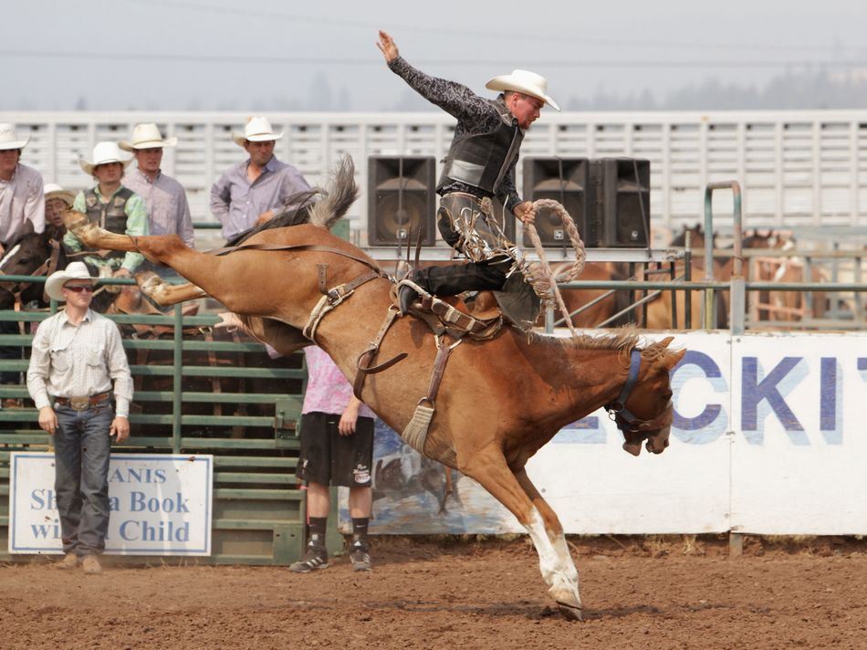 A horses hind legs are high in the air attempting to buck off his rider at the 2015 Klickitat County Fair Rodeo.