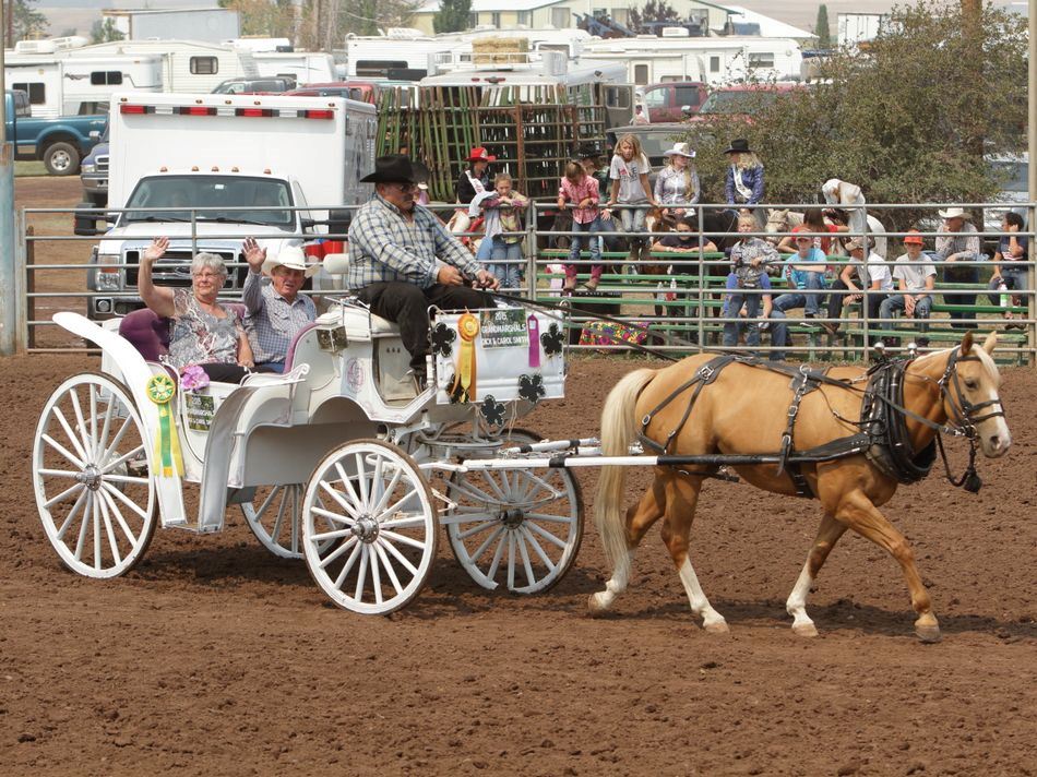 The 2015 Grand Marshals ride in a white horse-drawn wagon around the arena.