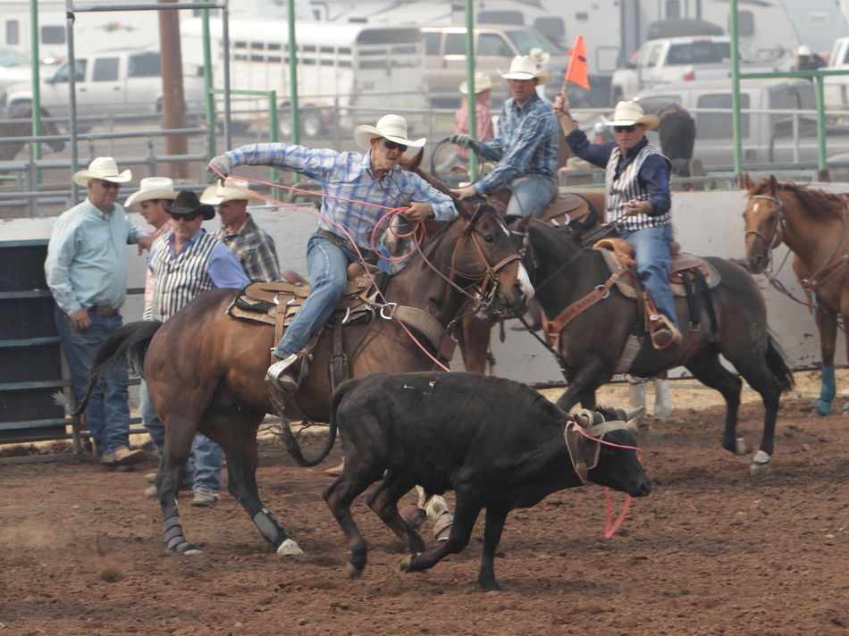 Man lassos a calf during the 2015 Klickitat County Fair Rodeo.