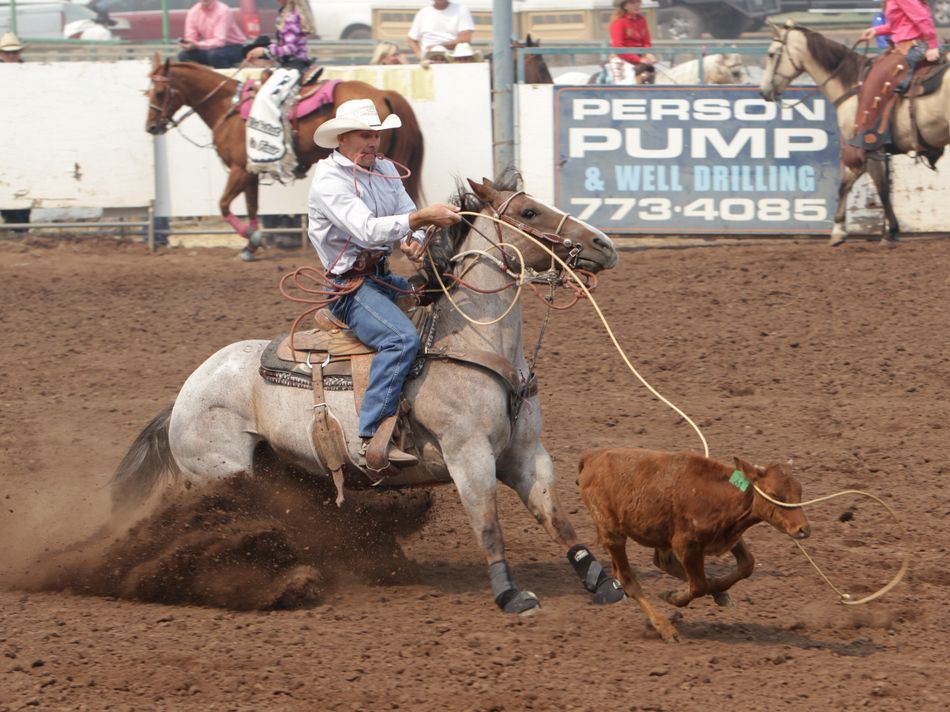A man lassos a calf at the 2015 Klickitat County Fair Rodeo.