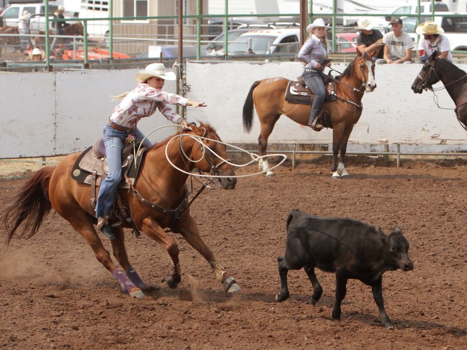 A woman throws a lasso toward a running calf.