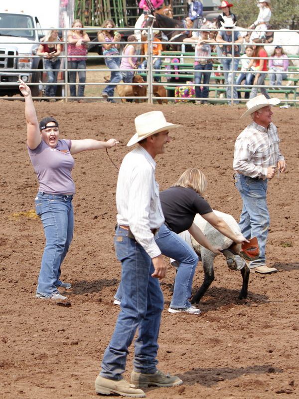 People stand at the finish line for the t-shirt a sheep event during the 2015 Klickitat County Fair Rodeo.