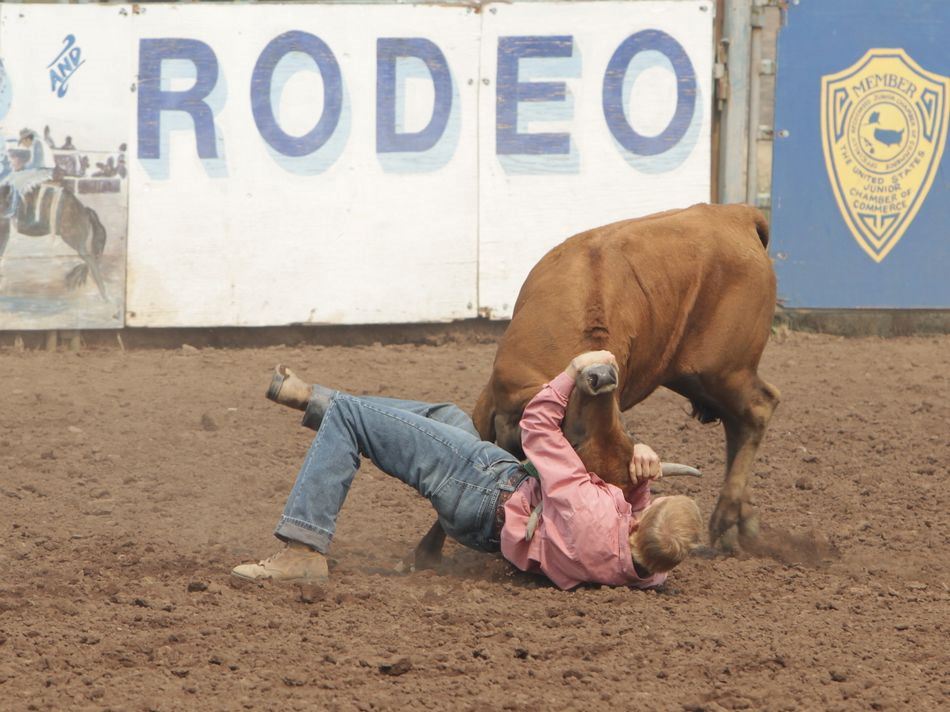 A boy wrestles a calf at the 2015 Klickitat County Fair Rodeo.
