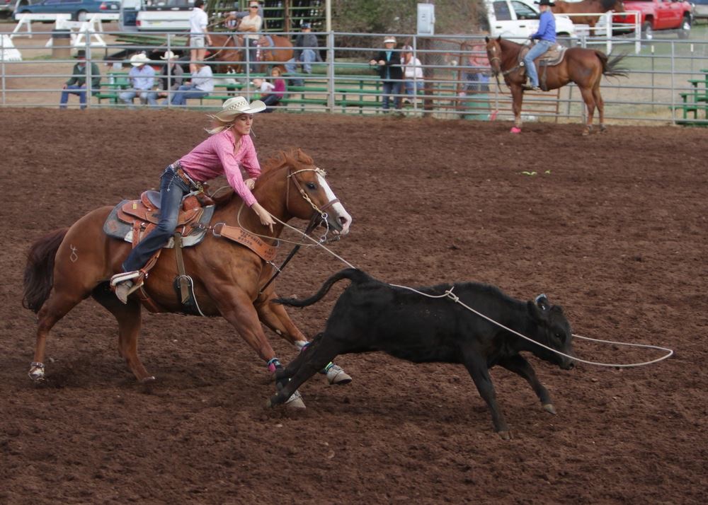 A woman lassos a  calf in the arena at the 2014 Klickitat County Fair.
