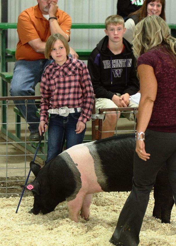 A girl shows her pig at the 2014 Klickitat County Fair.
