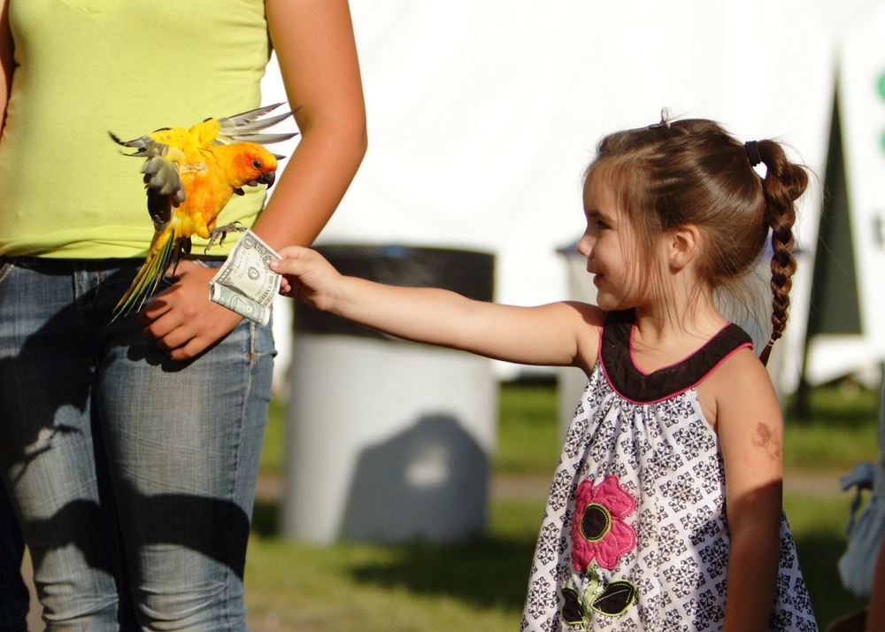 A little girl hands a dollar to a parrot at the 2014 Klickitat County Fair.