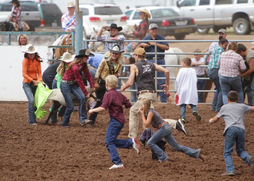 Teams attempt to get t-shirts put on their sheep during an event at the 2014 Klickitat County Fair Rodeo.