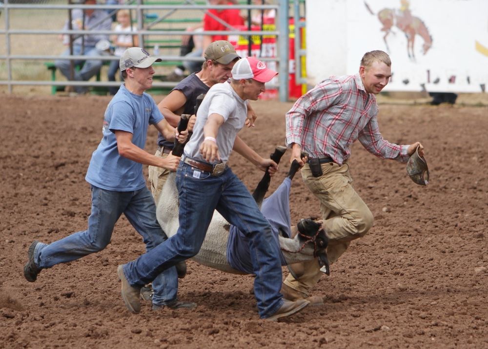 A group of boys lift their sheep to move it quickly to the finish line.