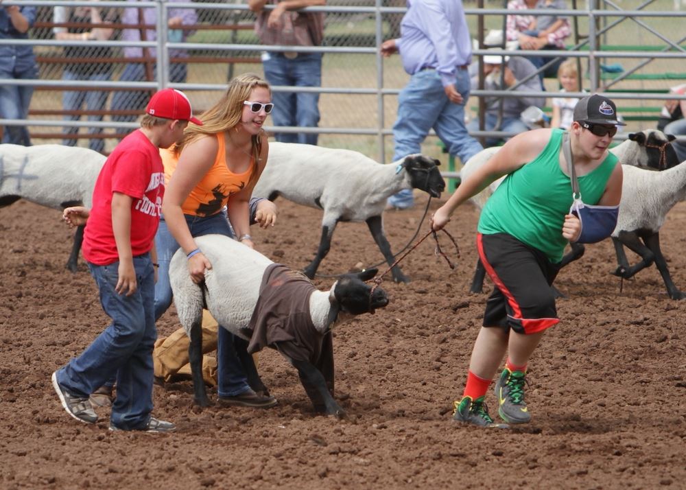 A team attempts to push their t-shirted sheep toward the finish line.