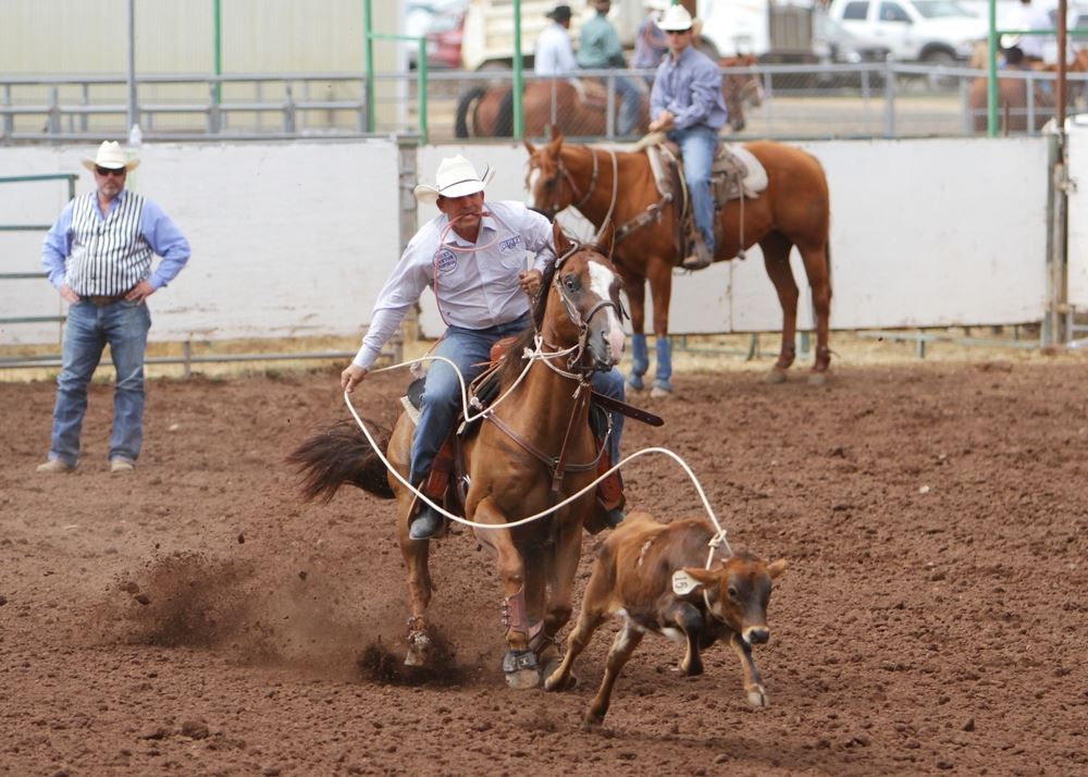 A man lassos a calf at the 2014 Klickitat County Fair Rodeo.