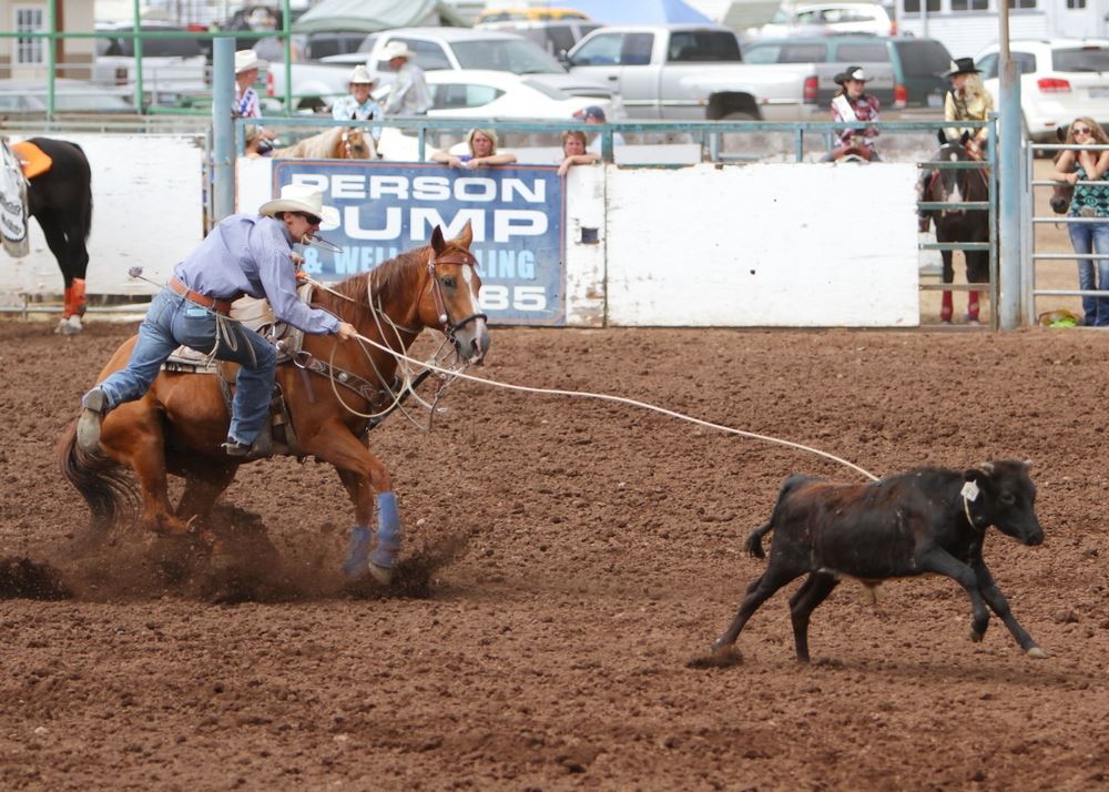 A man jumps off his horse after having lassoed a calf at the 2014 Klickitat County Fair Rodeo.