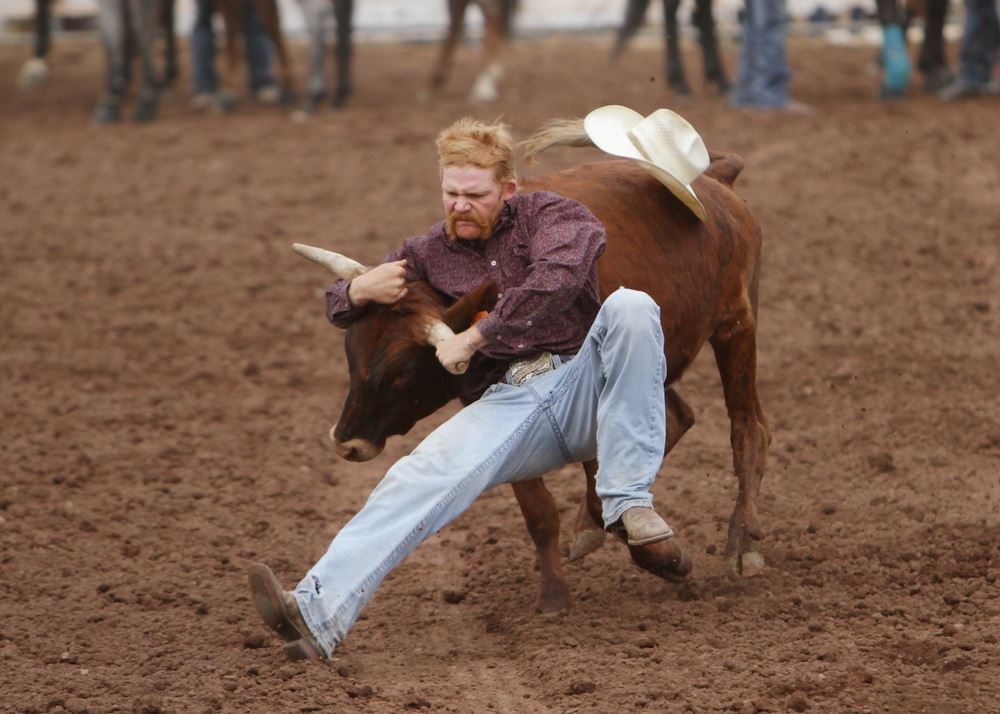 A man loses his cowboy hat as he wrestles a calf at the 2014 Klickitat County Fair Rodeo.