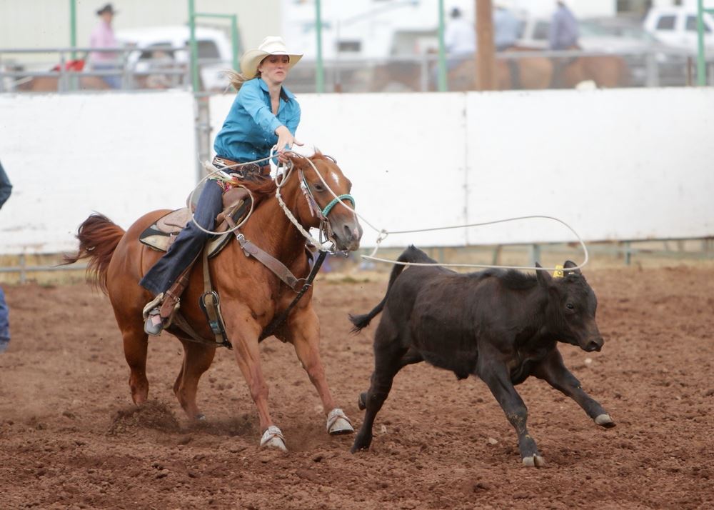 A woman throws a lasso toward a running calf at the 2014 Klickitat County Fair Rodeo.