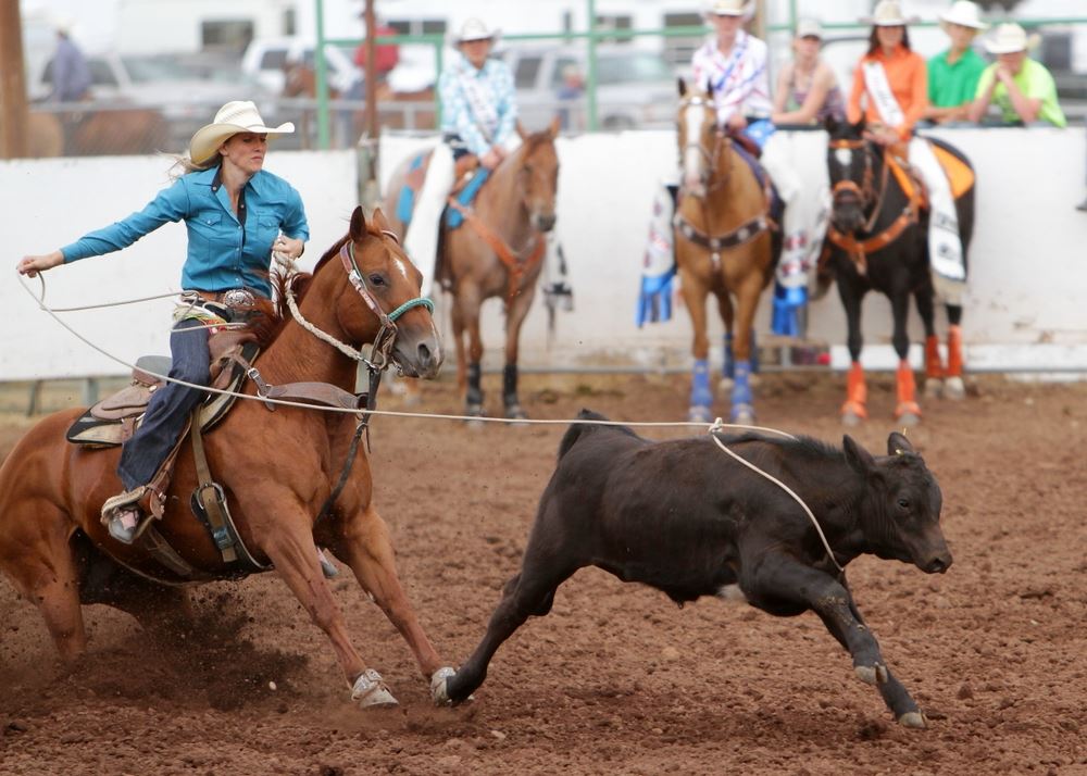A woman lassos a calf from atop her horse at the 2014 Klickitat County Fair Rodeo.
