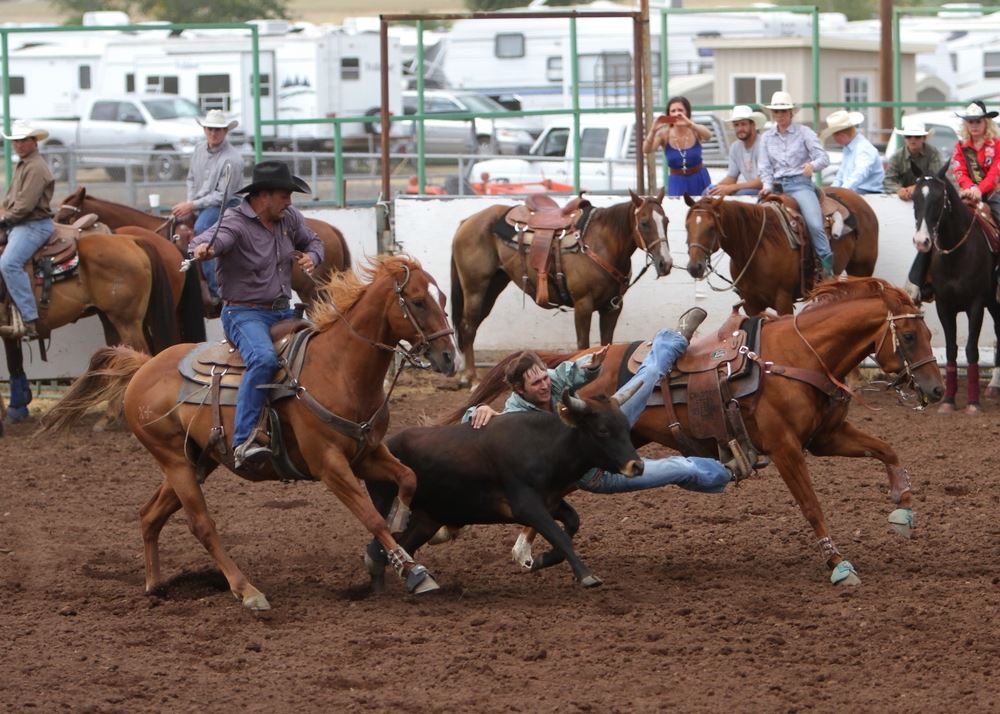 A man jumps from his horse in attempt to wrestle a calf at the 2014 Klickitat County Fair Rodeo.