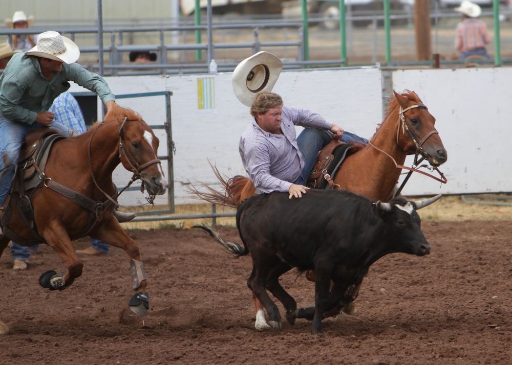 A man jumps from his horse in attempt to wrestle a calf at the 2014 Klickitat County Fair Rodeo.