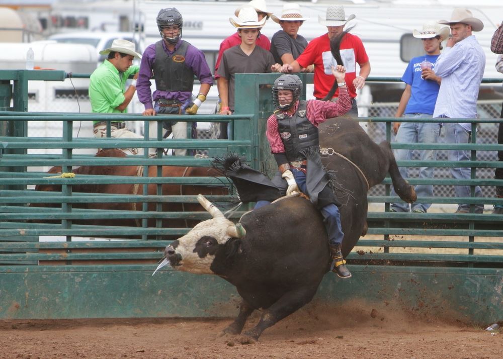 A man rides a bucking bull at the 2014 Klickitat County Fair Rodeo.