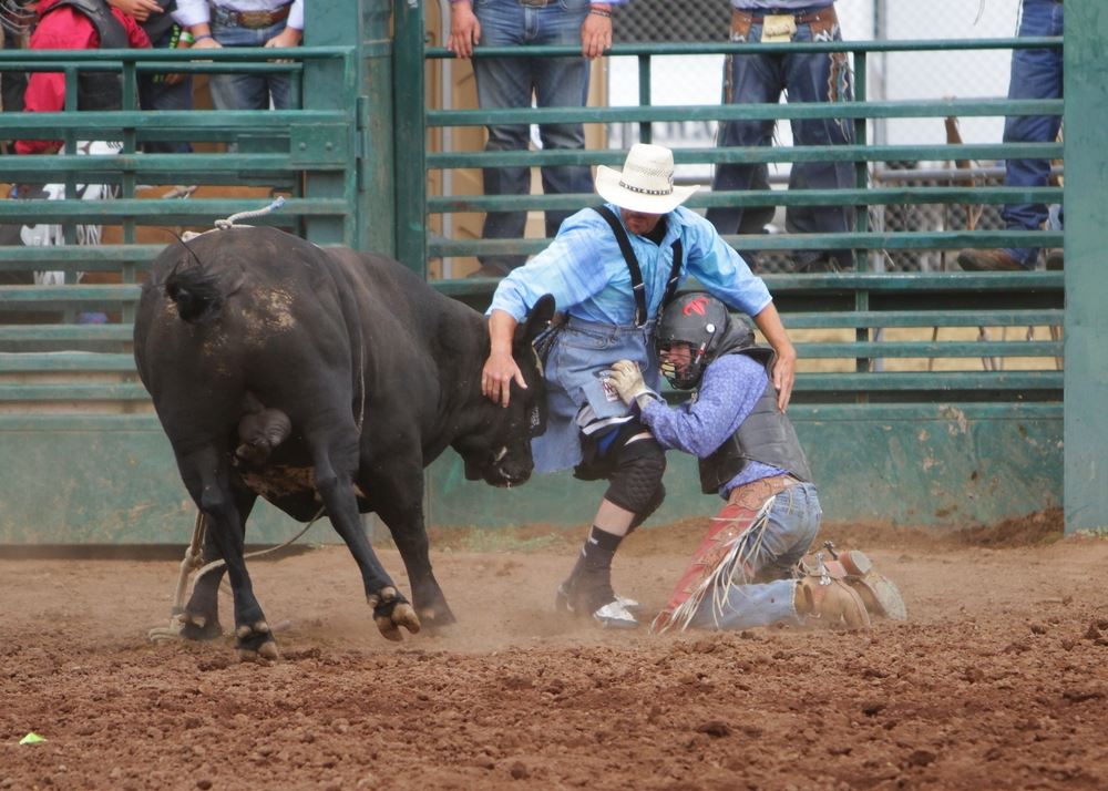 A takes cover behind another man from a bull at the 2014 Klickitat County Fair Rodeo.