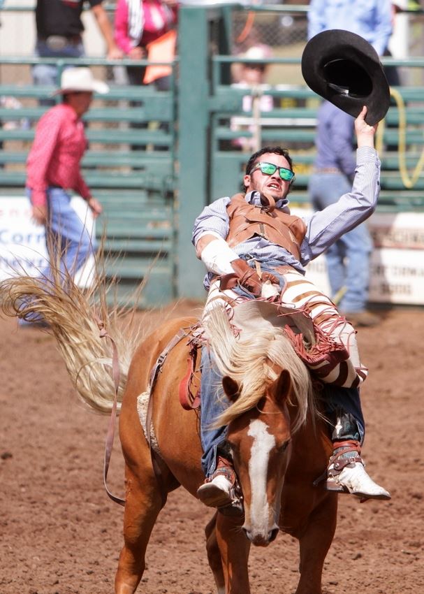 A man rides a bucking horse at the 2014 Klickitat County Fair Rodeo.