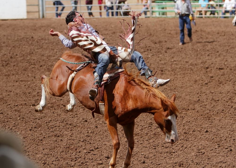 A man rides a bucking horse at the 2014 Klickitat County Fair Rodeo.
