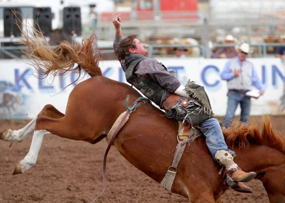 A man gets thrown backward on a bucking horse at the 2014 Klickitat County Fair Rodeo.