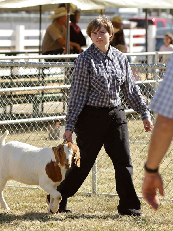 A girl shows her goat at the 2015 Klickitat County Fair.