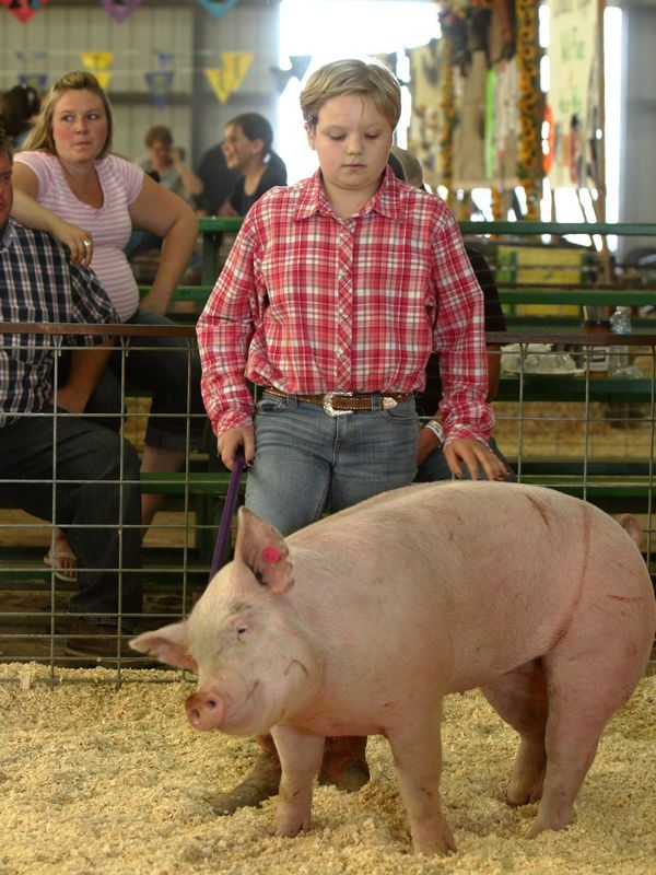 A girl shows a big pink pig at the 2015 Klickitat County Fair.