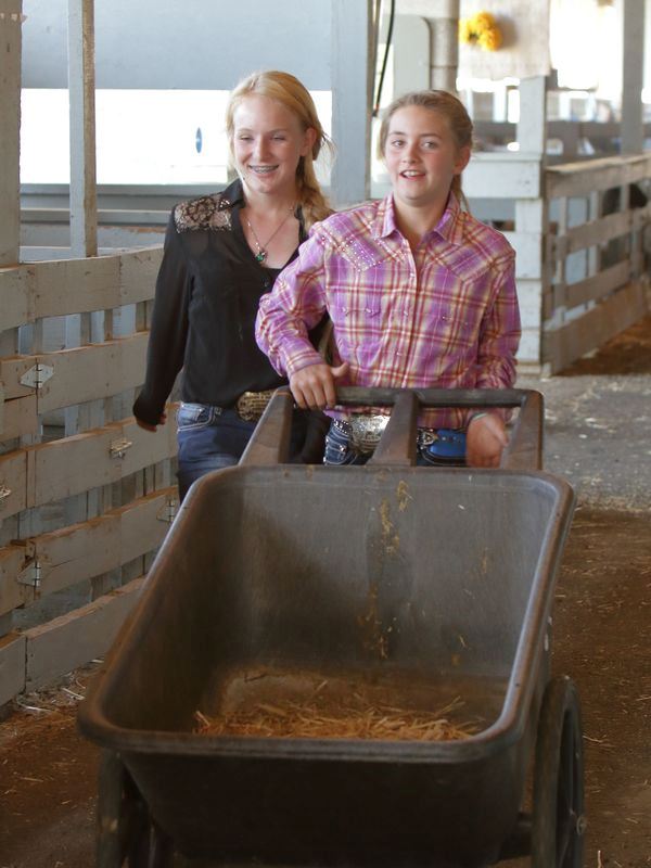 Girls push a wheelbarrow full of hay.
