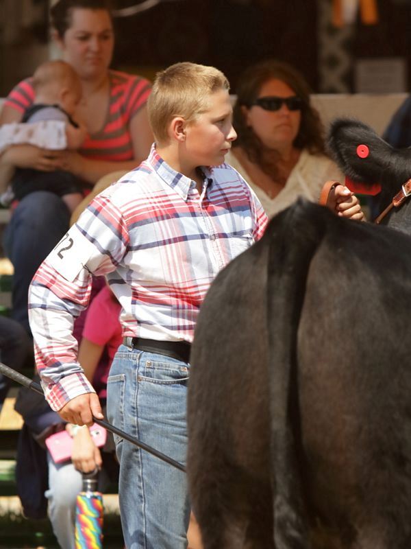 A girl stand next to her cow during the Klickitat County Fair.