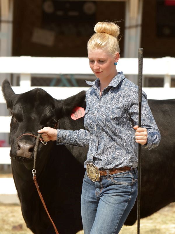 A young woman shows her cow at the 2015 Klickitat County Fair.