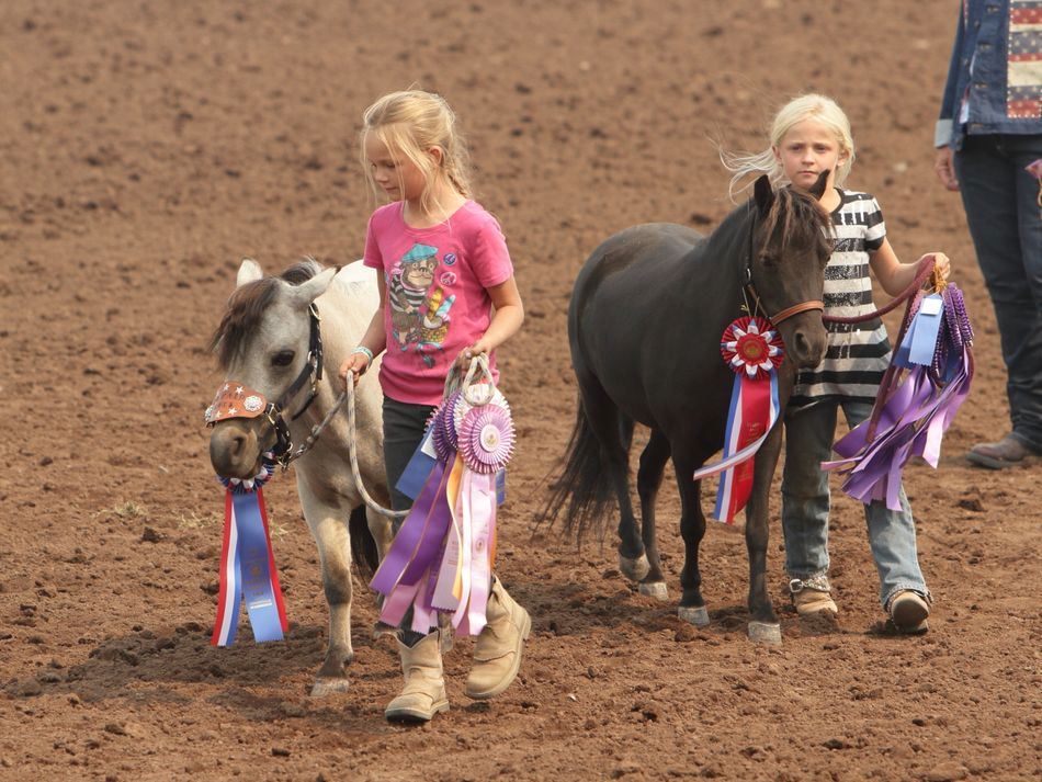 Two little girls hold their ponies by the bridle at the 2015 Klickitat County Fair.