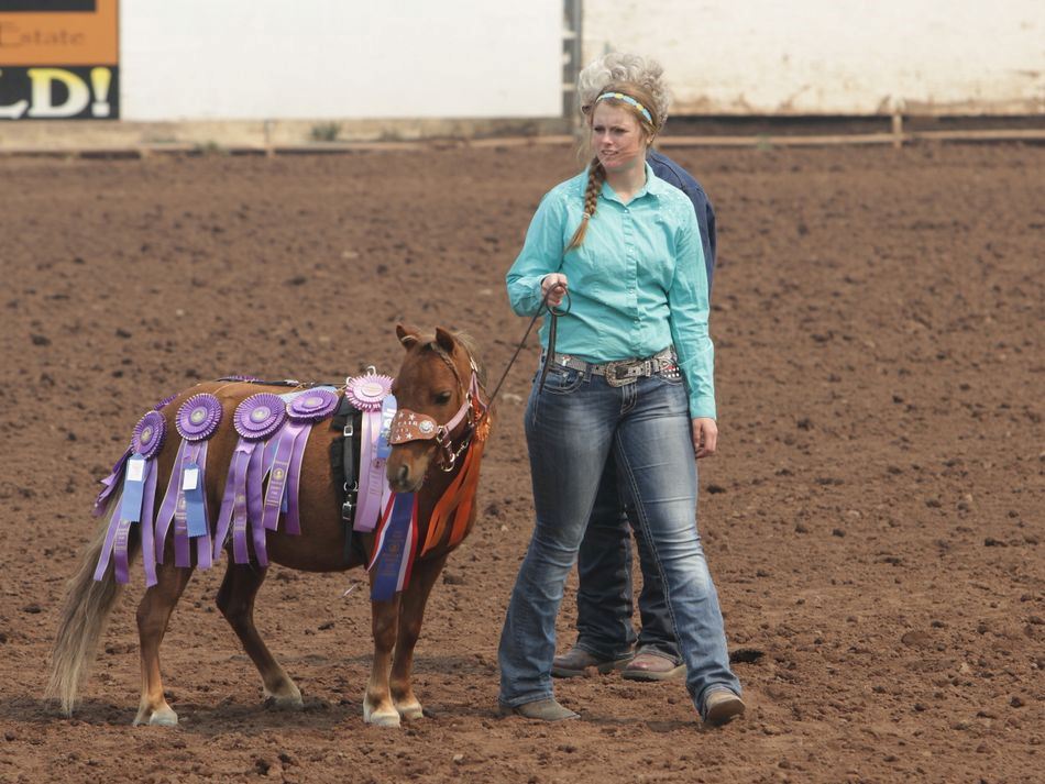 A girl holds onto a pony adorned with awarded ribbons.