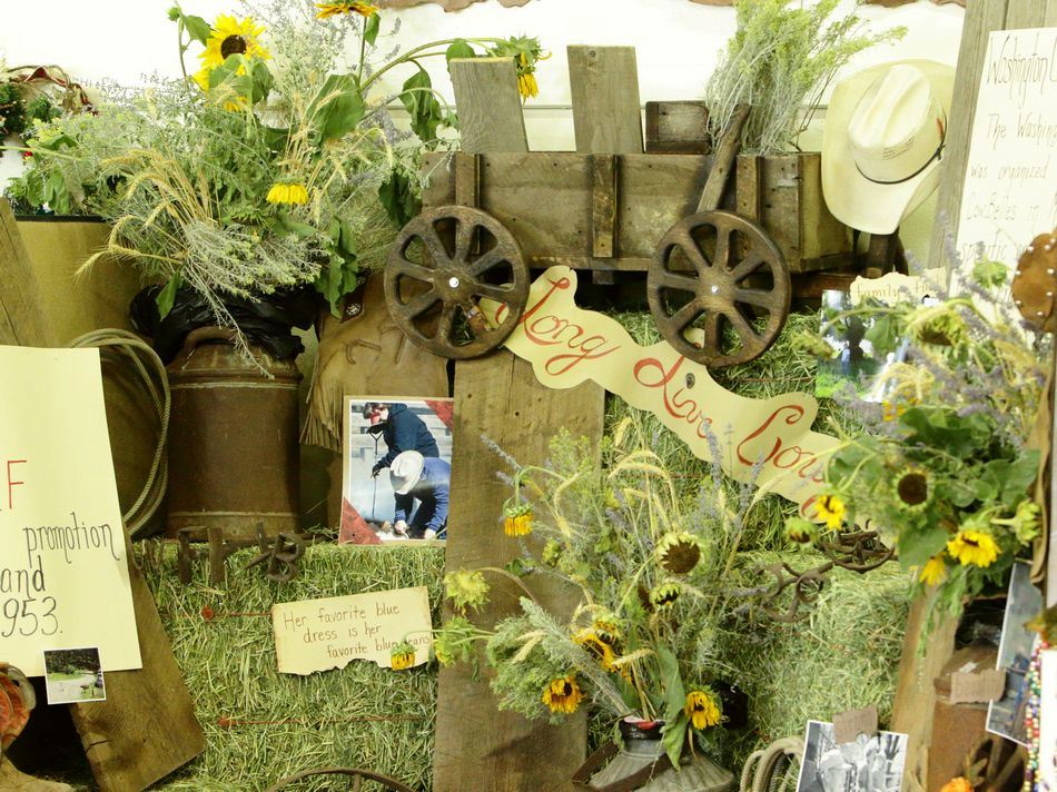 A sunflower display at the 2015 Klickitat County Fair.