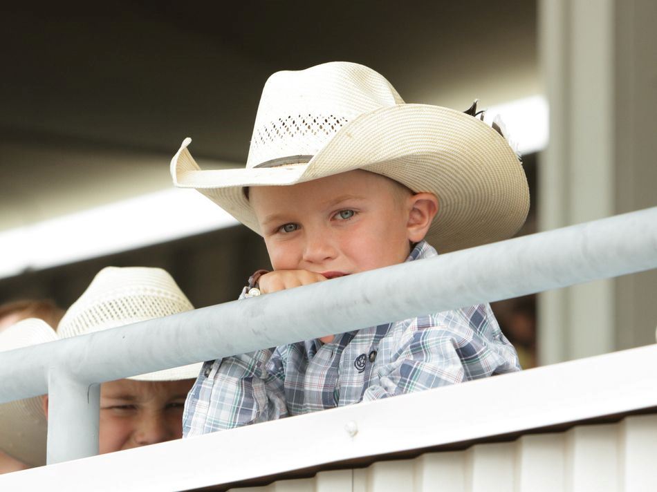 A little boy sits in the stands at the 2015 Klickitat County Fair.